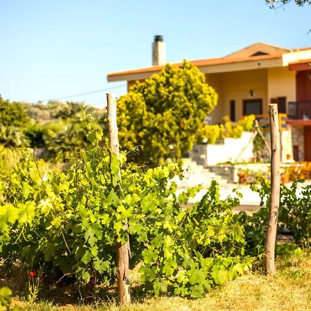 Near In Afandou Koskinou (Rhodes)