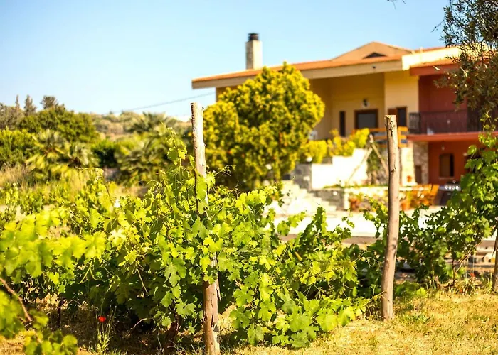 Near In Afandou Koskinou (Rhodes)